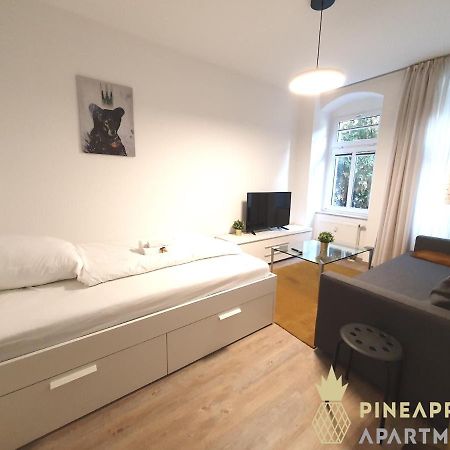 Ruhiges Hinterhof Apartment Im Herzen Der Neustadt Дрезден Екстер'єр фото